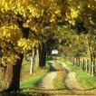 Autumn mood 3