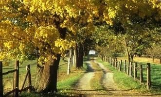 Autumn mood 3 পোস্টার