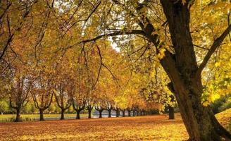 Autumn mood 3 স্ক্রিনশট 1
