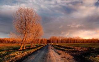 Autumn mood 1 تصوير الشاشة 1