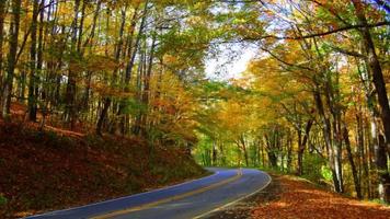 Autumn mood 1 تصوير الشاشة 2