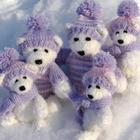 Bears in winter icono