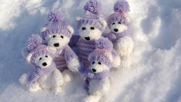 Bears in winter Cartaz