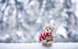 Bears in winter imagem de tela 2