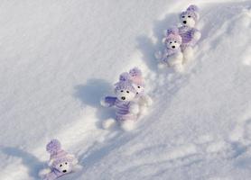 Bears in winter imagem de tela 3