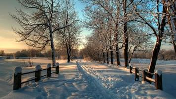 Winter Wallpapers 1 ภาพหน้าจอ 1