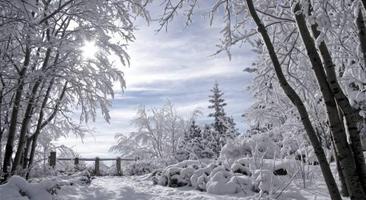 Winter Wallpapers 1 ภาพหน้าจอ 3