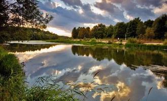 Water and nature Cartaz