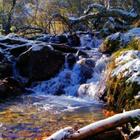 Late autumn icono