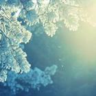 Winter Wallpapers 2 أيقونة