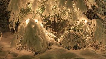 برنامه‌نما Winter Wallpapers 2 عکس از صفحه