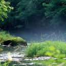 The river APK