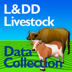 L&DD Data Collection иконка