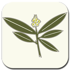 Nature's Own Herb Shop icône