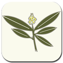 Nature's Own Herb Shop APK