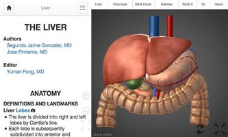 4D Medical imagem de tela 1