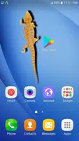 Lizard on Screen syot layar 2