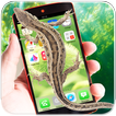 Lizard On Screen Simulator