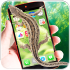 Lizard On Screen Simulator icon