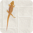 Lizard Live Wallpaper أيقونة