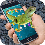 Eidechse auf Schirm Eidechse im Telefon Lustiger