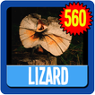 Lizard Wallpaper HD Complete