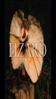 Lizard Wallpaper HD Complete Affiche