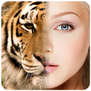Face Blender:Funny Morph  Face-APK