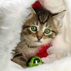 Christmas Ringtones! ไอคอน