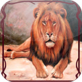Lion Jigsaw Puzzles