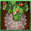 Cours de Crochet APK