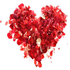 Sms Saint Valentin icône