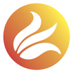 GoldHunt Education