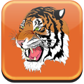 Strasburg Franklin Schools