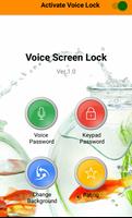 Voice Lock App Affiche