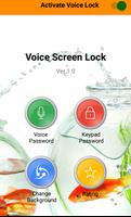 Voice Lock App poster
