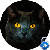 Black Cat Free Lock Screen Pro آئیکن