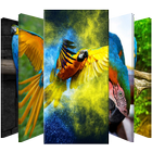 Macaws Papağanı Kilit Ekranı simgesi