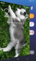 Siberian Husky Lock Screen Affiche