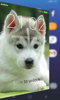 Siberian Husky Lock Screen capture d'écran 1