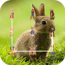 Pete Rabbit Lock Screen APK