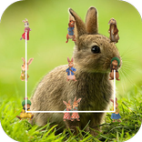 ピートラビットロックスクリーン