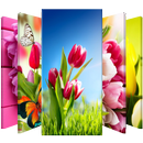 Flowers Tulips Lock Screen APK