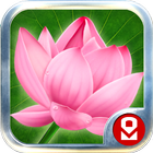 Moonlight over Lotus icon