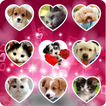 ”love photo keypad lockscreen