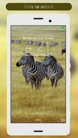 Zebra Lock Screen Affiche