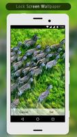 برنامه‌نما Zebra Lock Screen عکس از صفحه