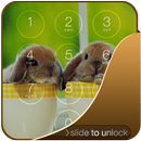 Rabbits Lock Screen APK