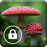 Amanita Pilz Screen Lock
