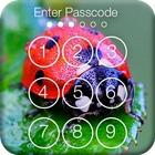 Cute Ladybug Screen Lock icon